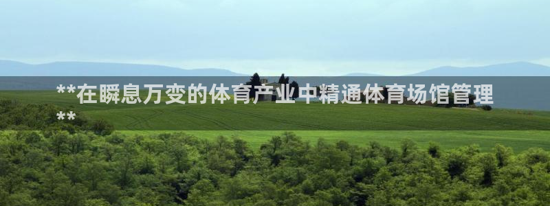 必一体育官方网站入口
