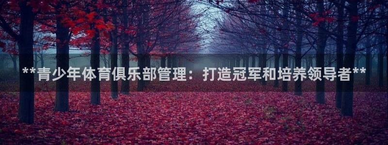 必一体育官网网站：*