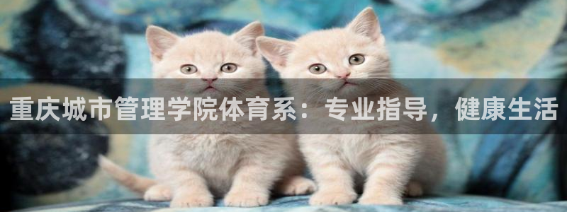 必一体育电子app：