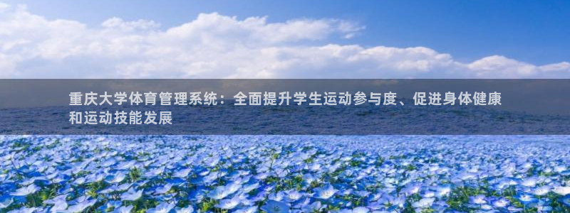 必一体育网站：重庆大