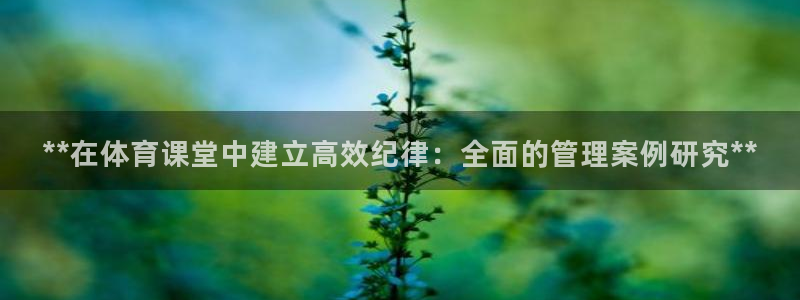 必一运动官网：**在