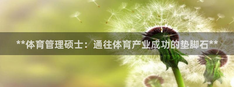 必一体育怎么下载：*
