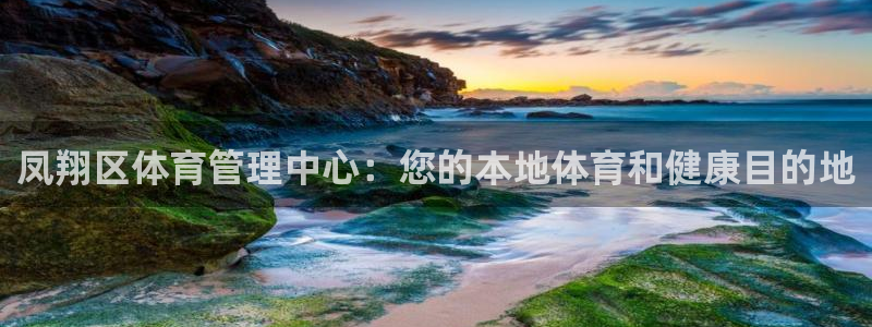 必一体育官网ios下