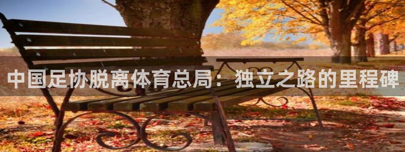 必一体育官方网站入口