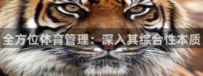 必一运动验证码：全方