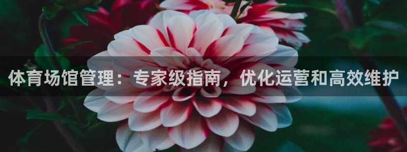 必一体育下载登入：体