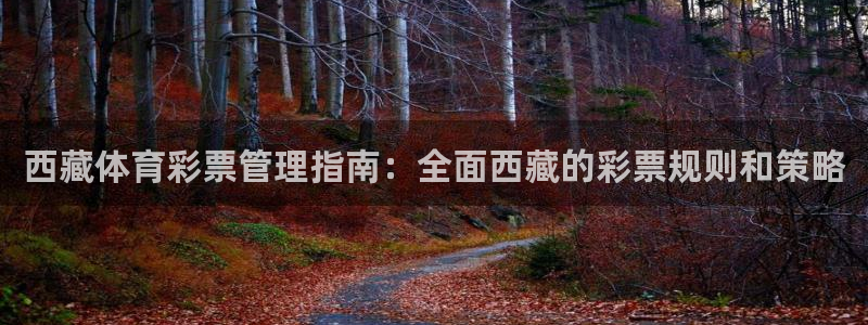必一运动官网：西藏体