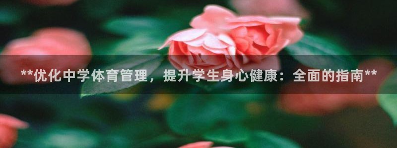 必一体育app官方网