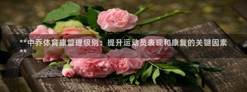必一体育运动app：