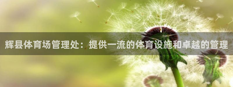 必一体育最新官网入口