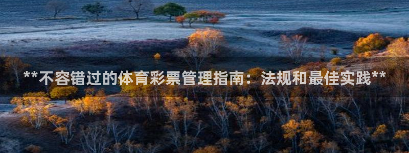 必一体育官方app下