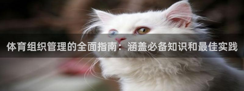 必一体育app平台下