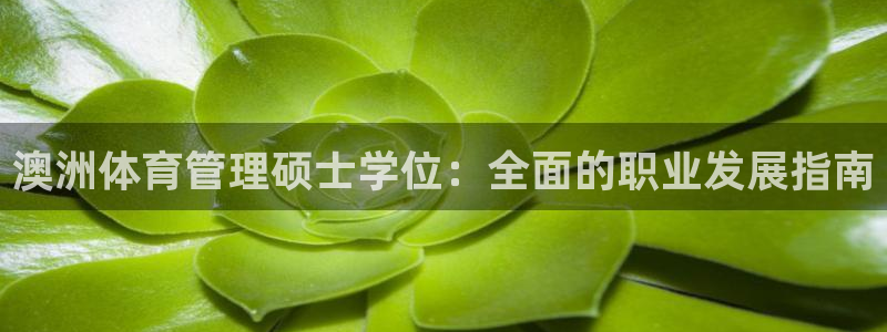 必一体育是啥：澳洲体