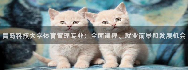 必一体育最新官网入口