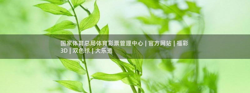 b体育必一运动网页版