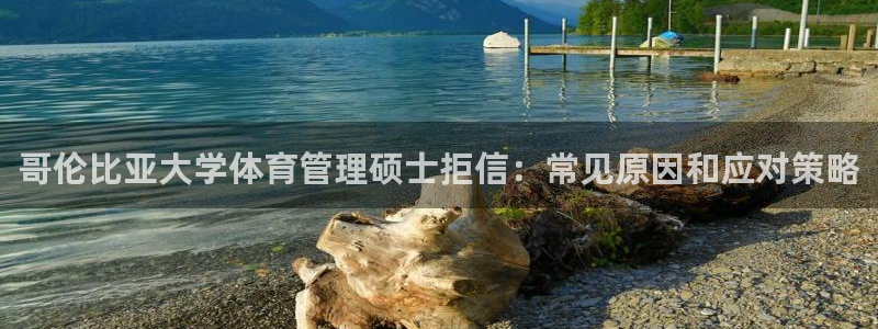 必一体育官网网址：哥