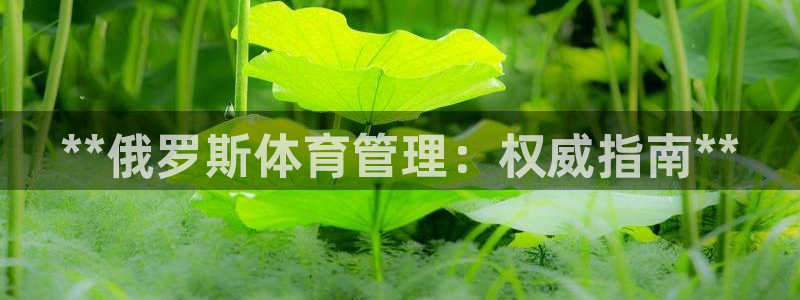 必一体育登录入口AP