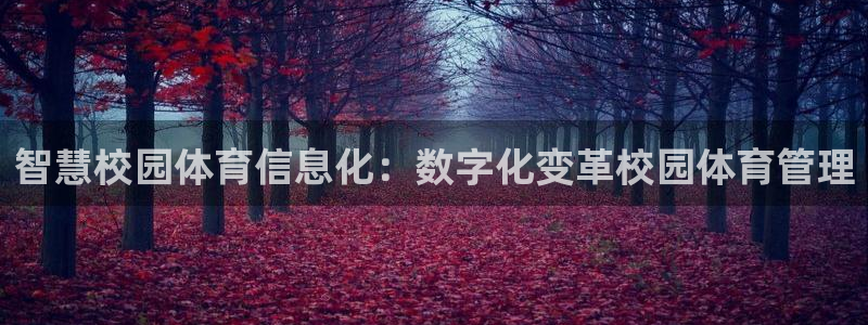 必一体育全站在线登录