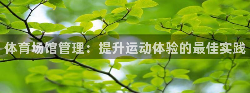 必一体育：体育场馆管