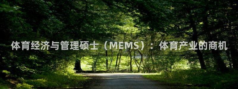 必一体育登录入口AP