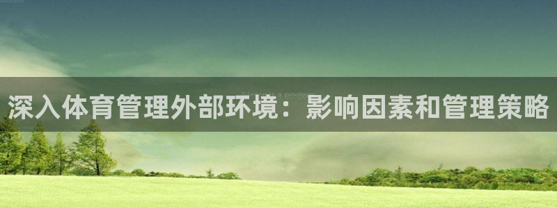 必一体育是啥：深入体