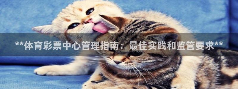 必一运动体育app：