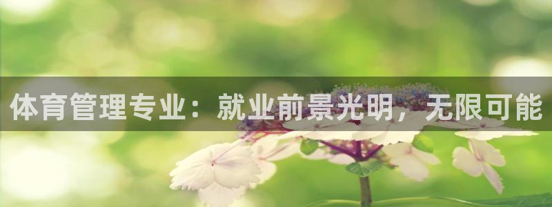必一体育游戏玩法：体