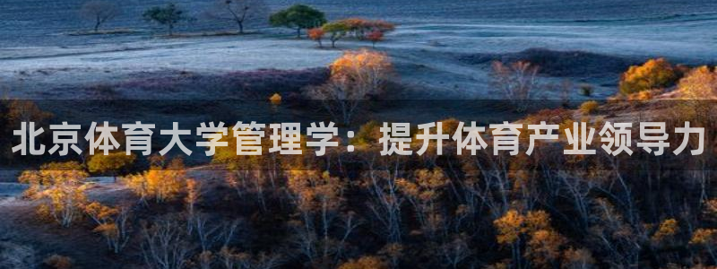必一体育下载app：