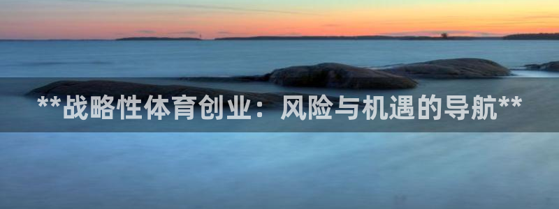 必一运动 b 体育素