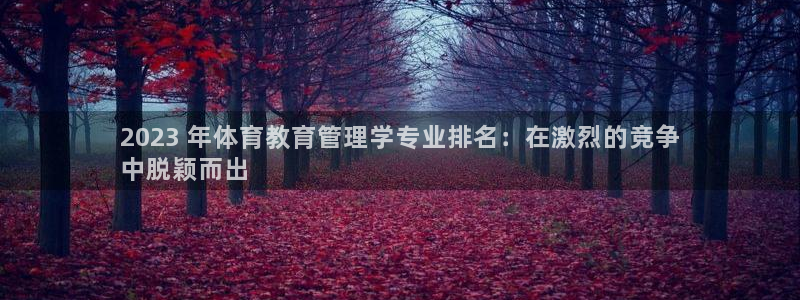 必十二和必一的副作用