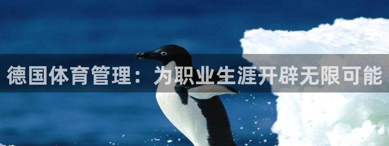 必一体育下载义：德国