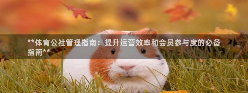 必一体育下载一样吗：