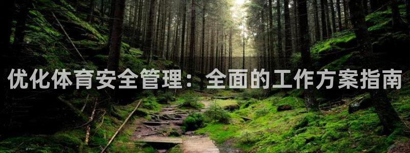 必一体育官方网站入口