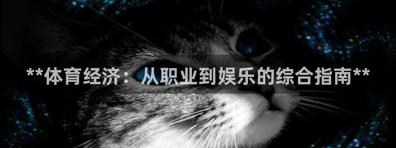 必一体育电子app：