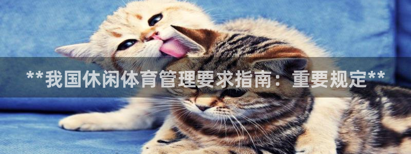 必一体育皮尔斯：**