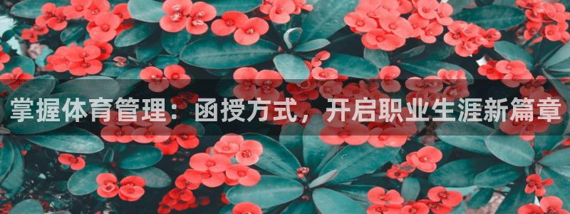 必一体育sport：