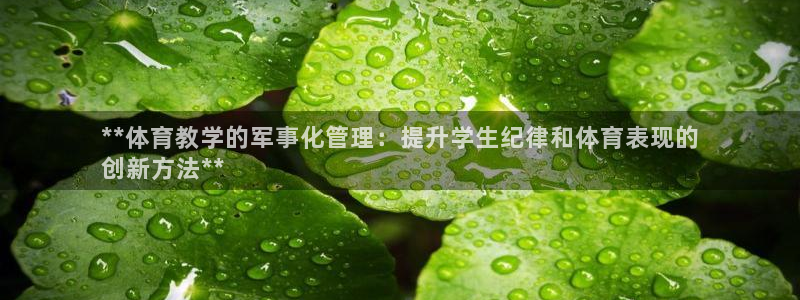 必一体育运动下载：*