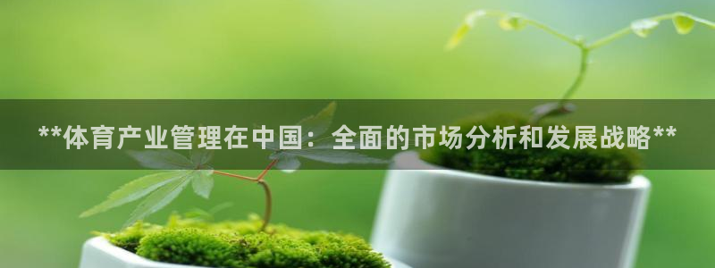 必一体育下载移动版：