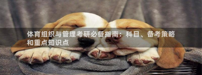 必一体育官方网站入口