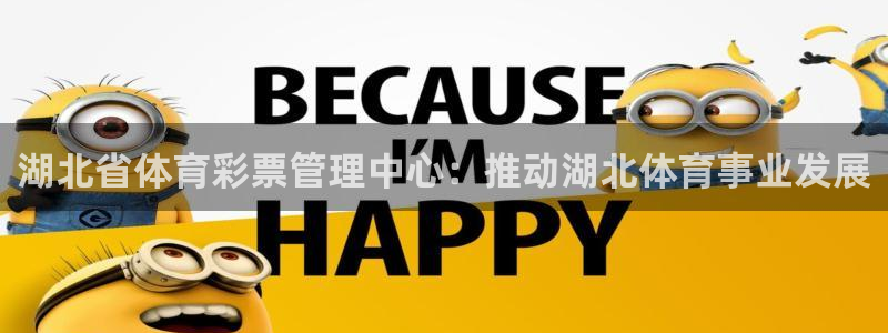 必一体育服下载最新版