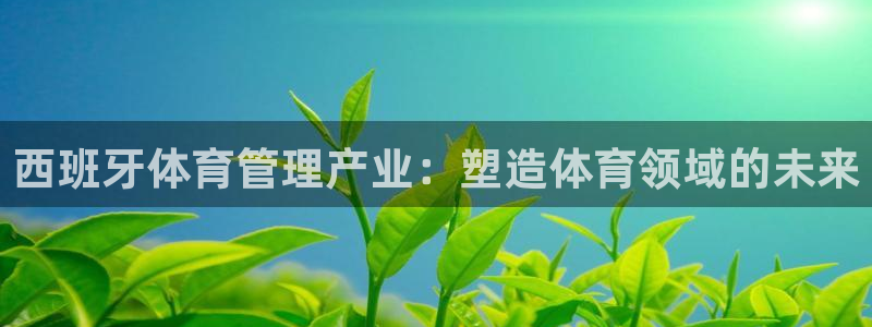 必一体育黑平台：西班