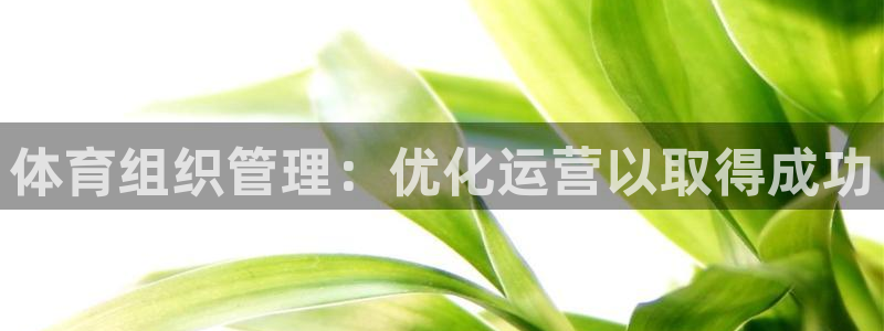 必一体育流水线是什么意思：体育组织管理：优化运营以取得成功