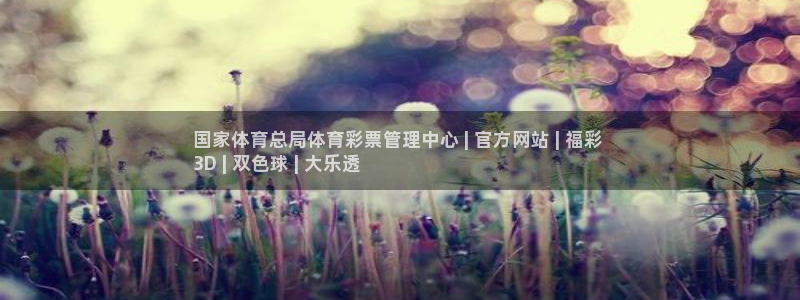 必一体育sport下