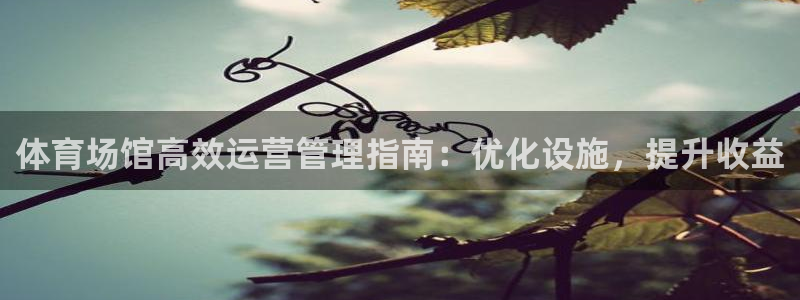 必一体育周公：体育场馆高效运营管理指南：优化设施，提升收益