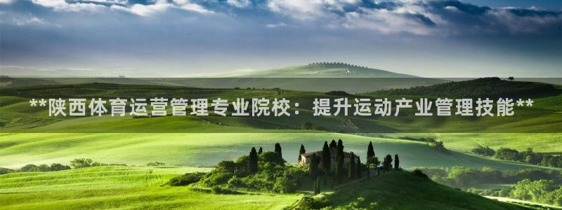 必一体育流水线是什么