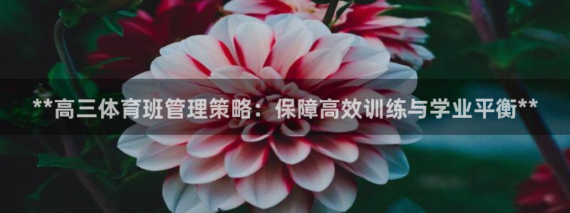 必一体育在线登陆：**高三体育班管理策略：保障高效训练与学业