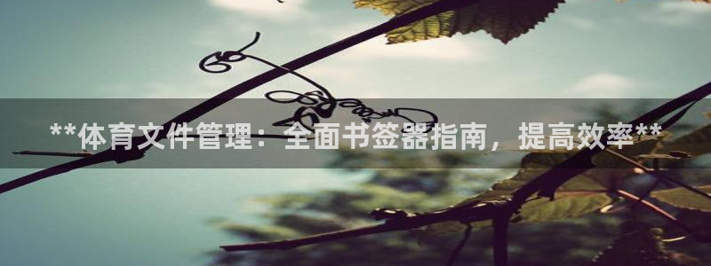 必一体育平台：**体