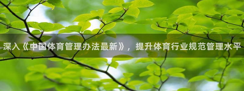 必一体育sport官