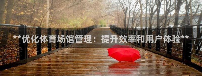 **优化体育场馆管理