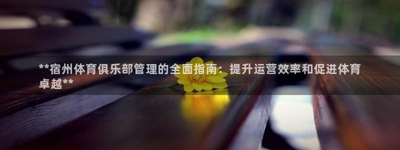 必一运动体育官网下载
